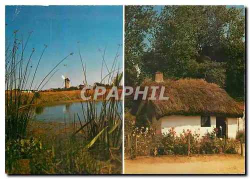 Cartes postales moderne La Vendee Touristique La Marais Moulin et Bourrine