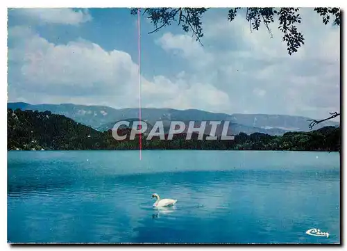 Moderne Karte Lac de la Bonde (Vaucluse) sur le lac de la Bonde le Cygne au fond le massif de Luberon