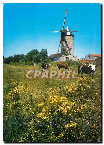 Moderne Karte La Vendee Pittoresque Un vieux Moulin