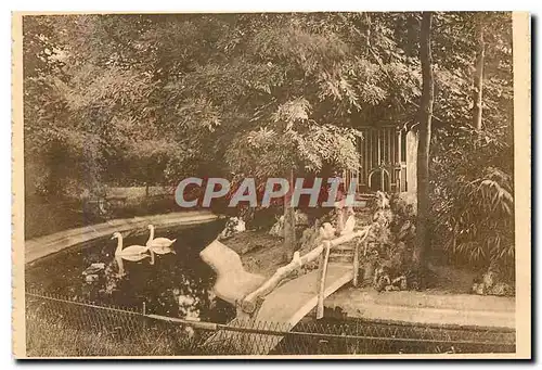 Cartes postales moderne Institut des Ursulines Wavre Notre Dame L'Etang aux Cygne