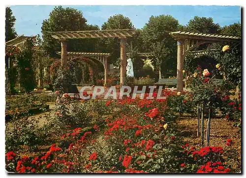 Cartes postales moderne Belfort (Territoire de) La Roseraie