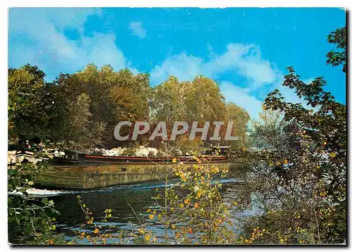 Cartes postales moderne Bords de Seine