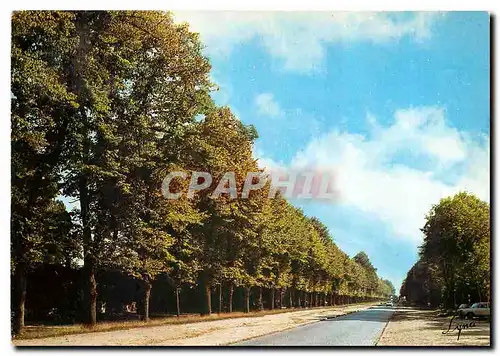 Cartes postales moderne Meudon Bellevue (Hauts de Seine) L'Allee du Chateau