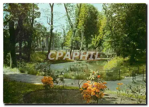 Cartes postales moderne Clamart Le Square de Maison Blanche