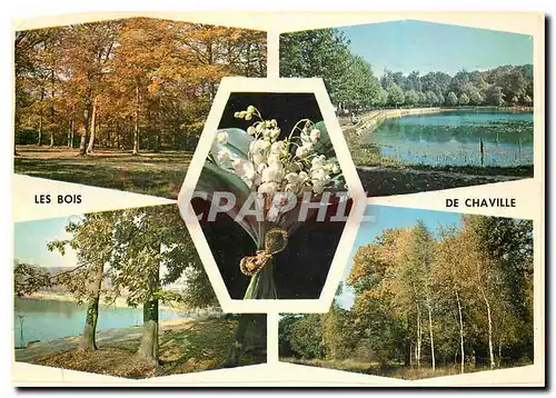 Moderne Karte Images de France Divers aspects du bois et des etangs