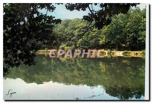 Cartes postales moderne Meudon (Hauts de Seine) L'Etang Villebon