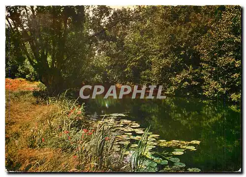 Cartes postales moderne Images de France L'Yerres