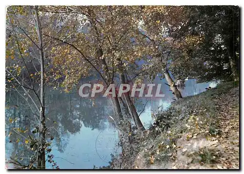 Cartes postales moderne Images de France Champigny Saint Maur Le Marne