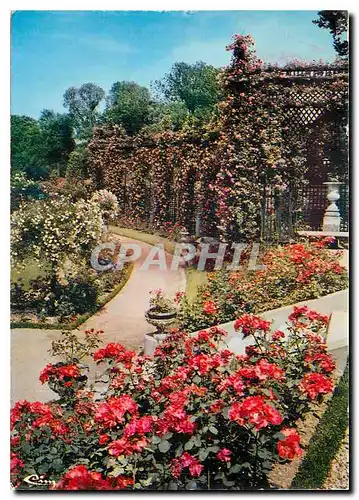 Cartes postales moderne L'Hay les Roses (Val de Marne) La Roseraie