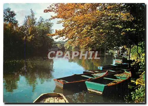 Cartes postales moderne Images de France Champigny Les bords de la Marne