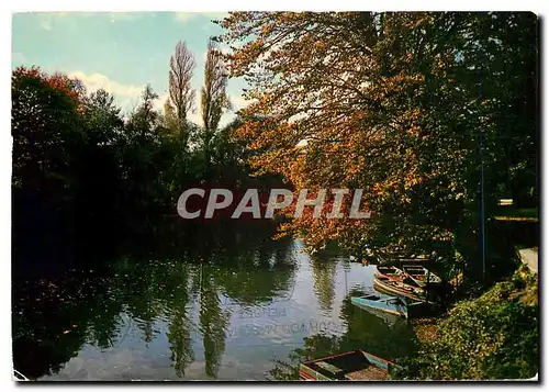 Cartes postales moderne Images de France Champigny Saint Maur la Marne