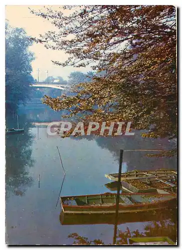 Cartes postales moderne Images de France Champigny La Marne