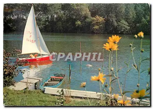 Cartes postales moderne  La Marne Un dimanche au bord de l'eau