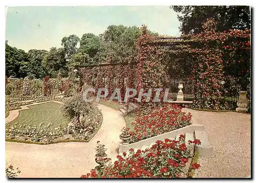 Cartes postales moderne Images de France L'Hay les Roses La Roseraie les Bosquets