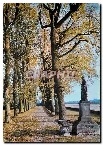 Cartes postales moderne Boissy St Leger (Val de Marne) En Foret de Boissy Poesie d'Automne