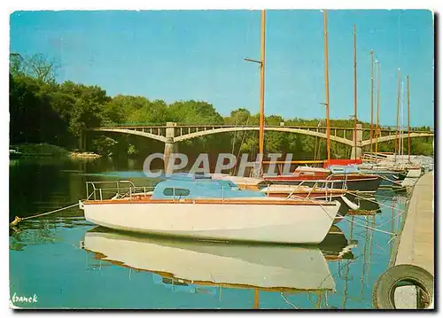 Cartes postales moderne La Marne La passerelle de la pie sur la Marne entre St Maur et Creteil