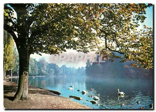 Cartes postales moderne Images de France Promenade au Bois de Vincennes
