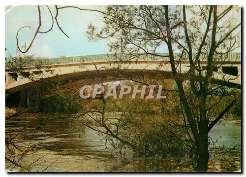 Cartes postales moderne Champigny le Pont et la Marne