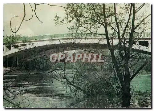 Cartes postales moderne Champigny le Pont et la Marne