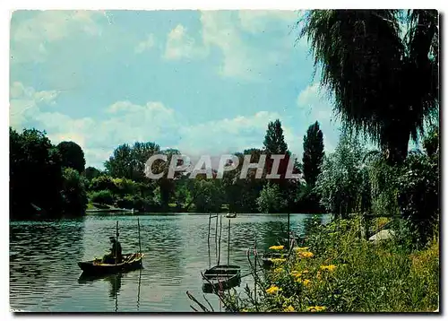 Cartes postales moderne La Marne Peche a la Ligne