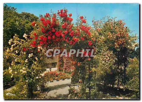 Cartes postales moderne L'Hay les Roses (Val de Marne) La Roseraie