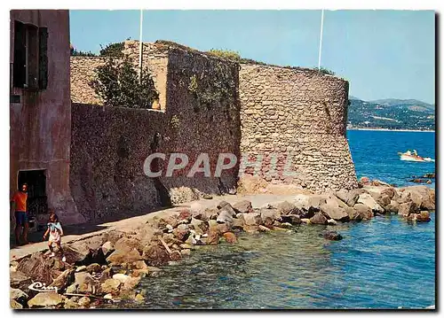 Cartes postales moderne Cote d'Azur France Saint Tropez (Var) La tour Daumlas