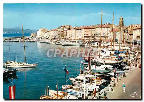 Cartes postales moderne La Cote des Maures Saint Tropez (Var) le port