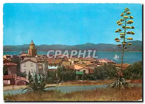 Moderne Karte Saint Tropez (Var) Vue generale sur la ville et sur le golfe Reflets de la cote des Maures