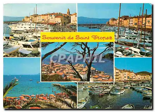 Cartes postales moderne Saint Tropez (Var) La cote d'Azur Varoise