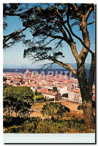 Cartes postales moderne Saint Tropez (Var) vue generale