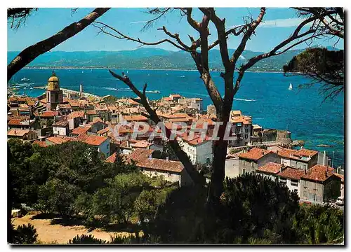 Cartes postales moderne Saint Tropez (Var) vue generale sur le Golf