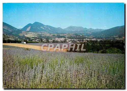 Moderne Karte Dieulefit (Drome) Vue generale et ses Champs de Lavande