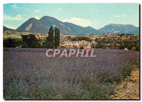 Cartes postales moderne Paysages de Provence Chamlps de lanvande a Dieulefit (Drome)