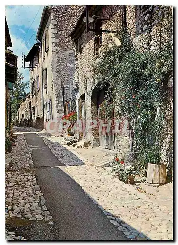 Cartes postales moderne Die (Drome) Vieille rue