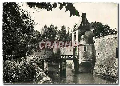 Cartes postales moderne Selles sur Cher le Chateau