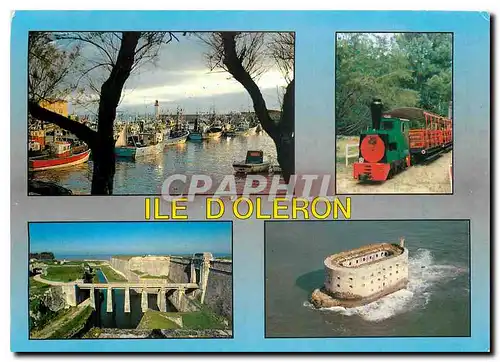 Cartes postales moderne Ile d'Oleron Sur la cote de Lumiere La Continiere