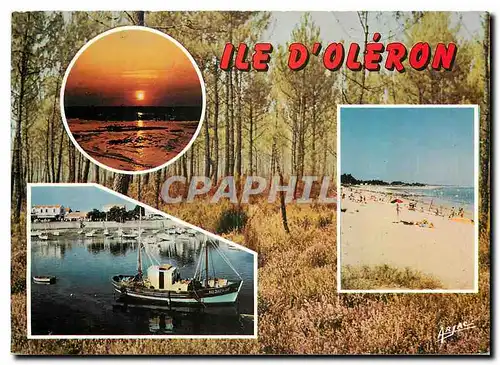 Cartes postales moderne sur la Cote de Lumiere dans l'Ile d'Oleron