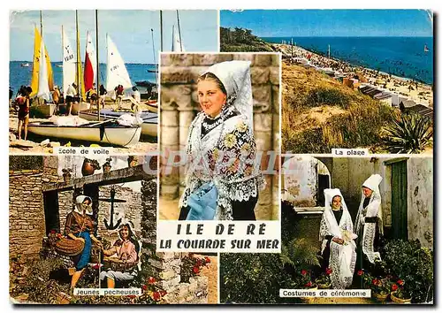 Cartes postales moderne Ile de Re (Charente Maritime)