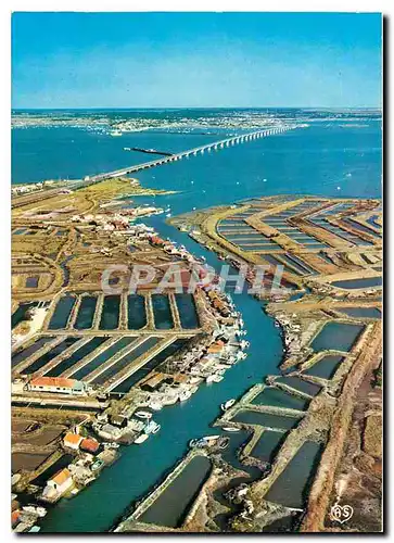 Cartes postales moderne Pont d'Oleron (Ch Mme) Le plus long viaduc de France