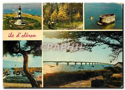 Cartes postales moderne Ile d'Ileron Phare de Chassiron les Mimosas en fleur fort Boyard La Cotiniere le viaduc