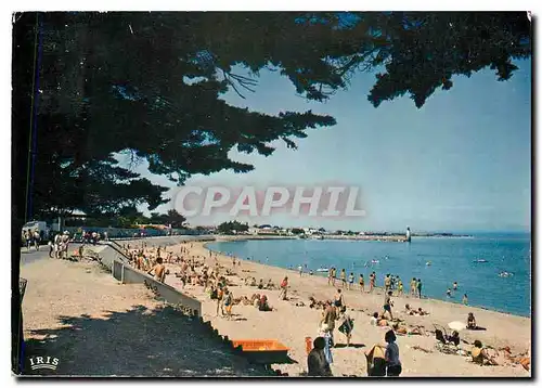 Cartes postales moderne Ile de Re (Ch Mme) La Flotte la plage vue d'esemble