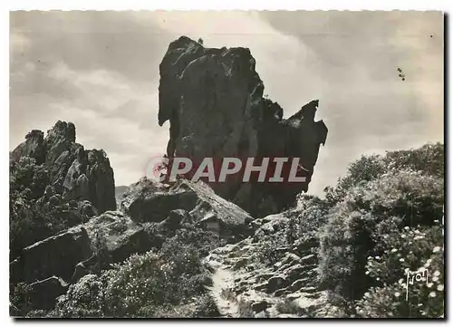 Cartes postales moderne Piana (Corse) Rocher dans les Calanque l'Aigle