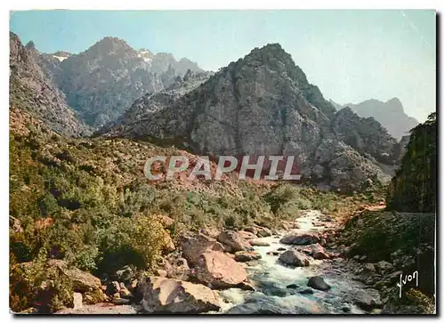 Cartes postales moderne Couleurs et Lumiere de France La corse oasis de Beaute Gorges de l'Asco