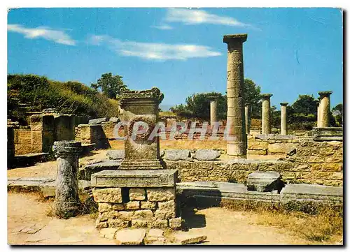 Cartes postales moderne Au coeur de la Provence St Remy de Provence (B du R) Antique Cite de Glamen