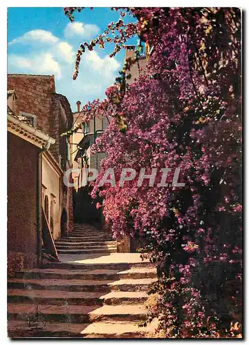 Cartes postales moderne La Cote d'Azur Bormes les Mimosas Rue Rompi couou