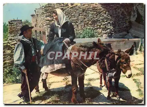 Cartes postales moderne Couleurs et Lumiere de France La Corse Oasis de Beaute