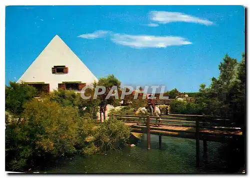 Moderne Karte Camargue Lumieres et tradition Maison de Gardians