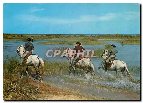 Cartes postales moderne Camargue Lumiere et Tradition Mejanes Cavaliers camarguais sur les bords du Vaccares