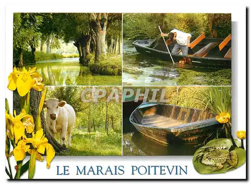Cartes postales moderne Le Marais Poitevin (Deux Sevres) Sur 35000 ha de terres inondables