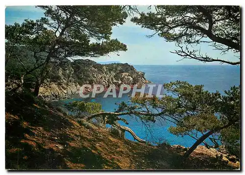 Cartes postales moderne Mediterranee aux rivages sans nuage Calanque aux reflets d'or